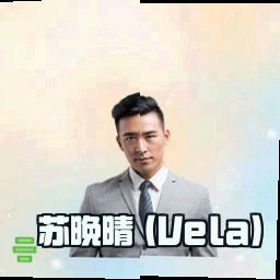 苏晚晴 (Vela)